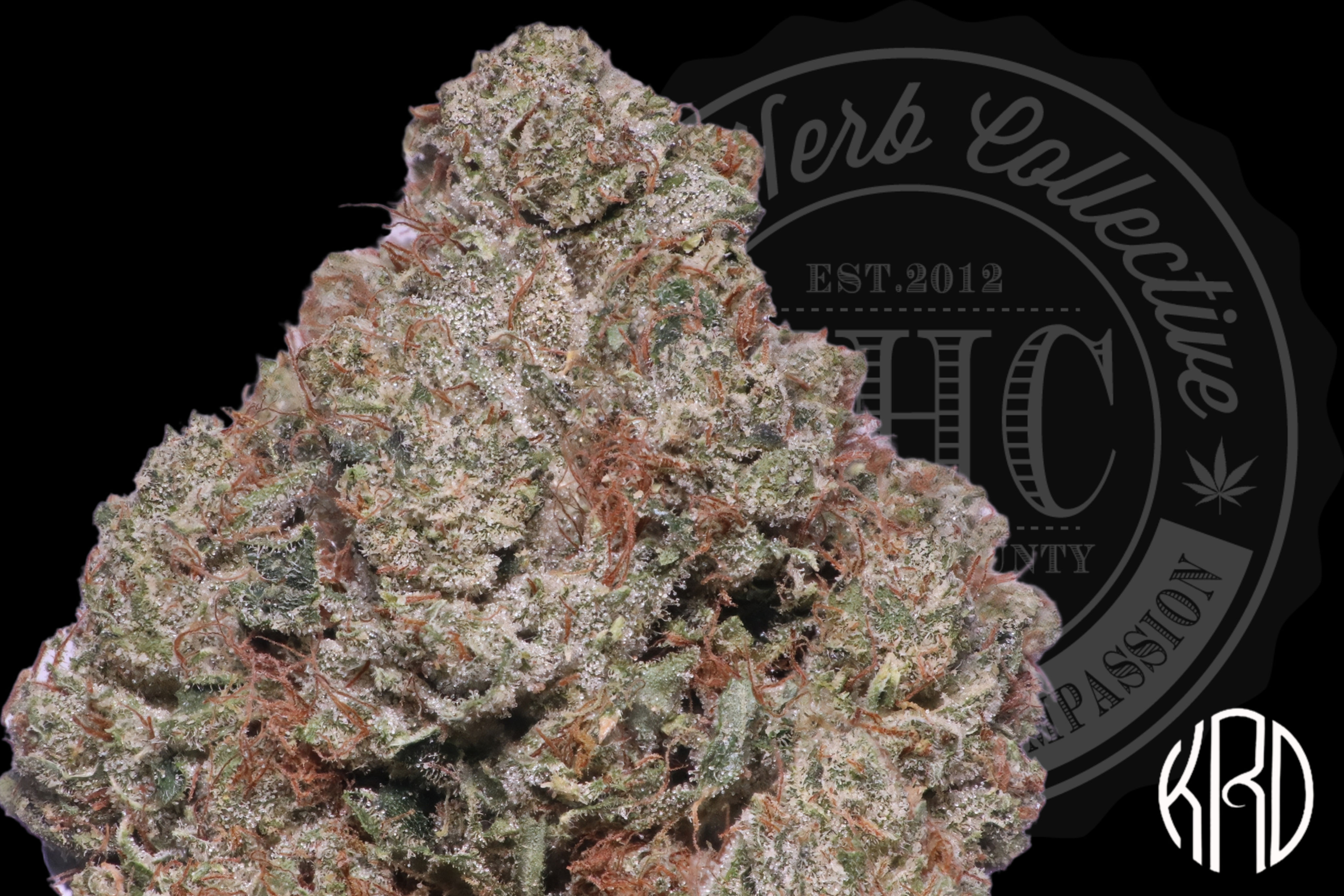 WITCH DOCTOR 32.8% | CONNOISSEUR | KRD
