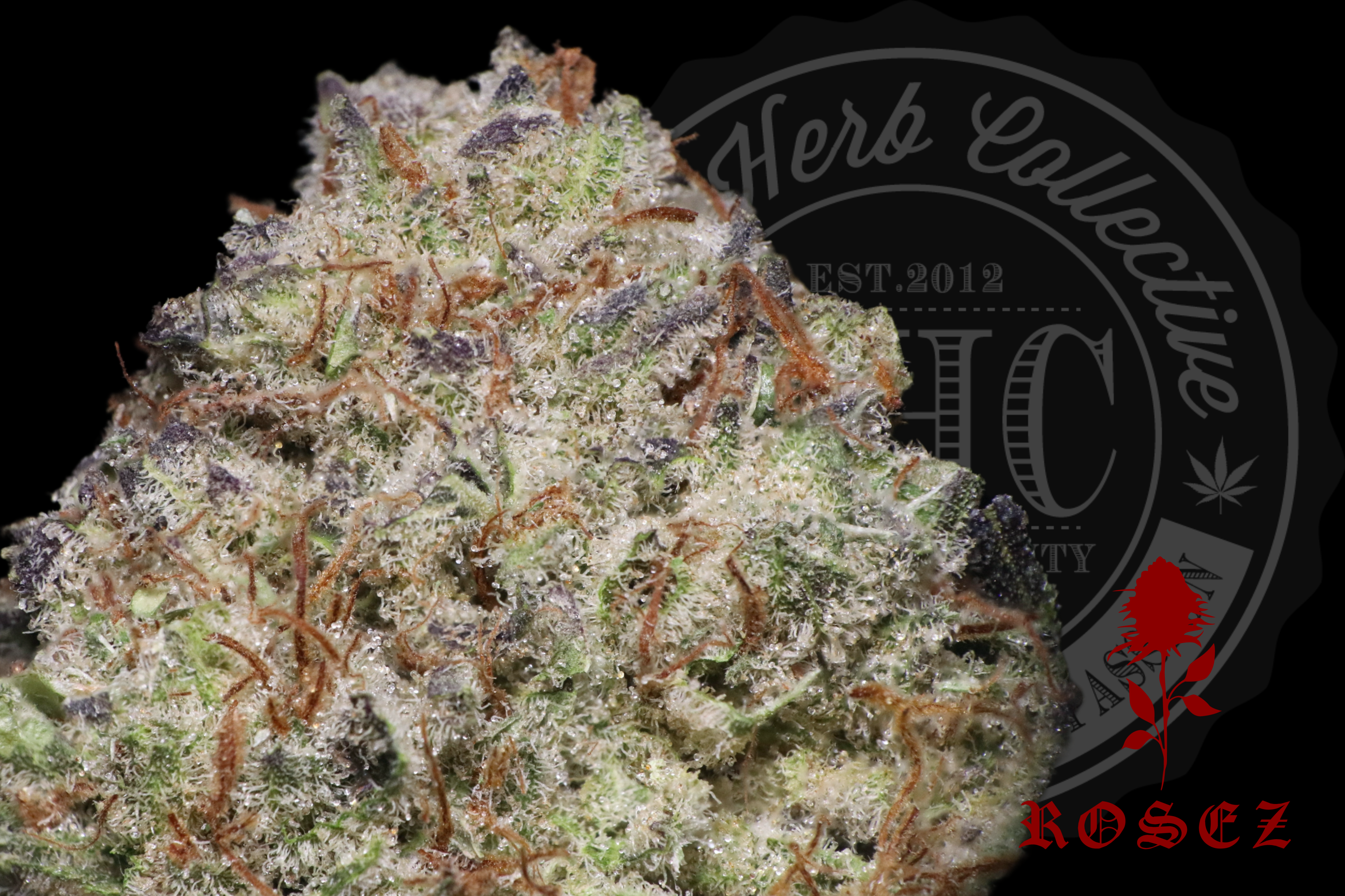 Banana Fire Kush 28.4%