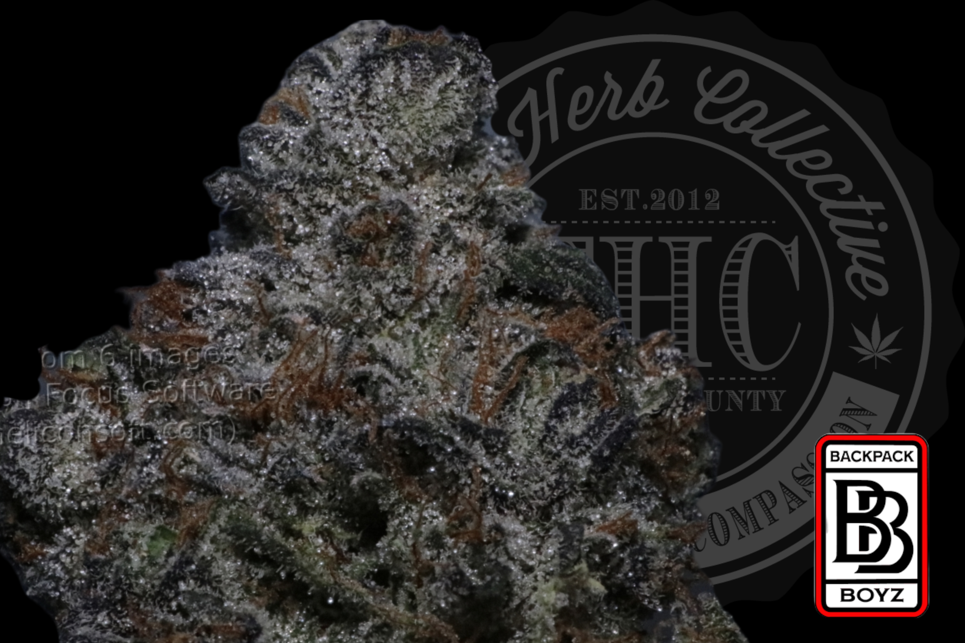 White Gummy 29.2%