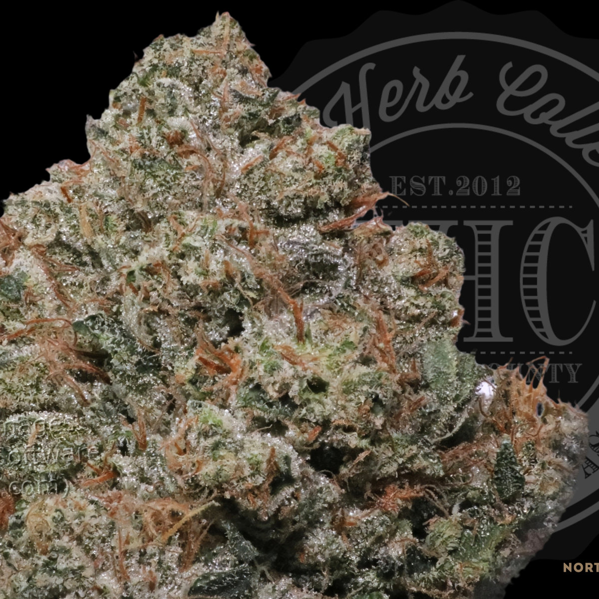 Titan OG 30.3%