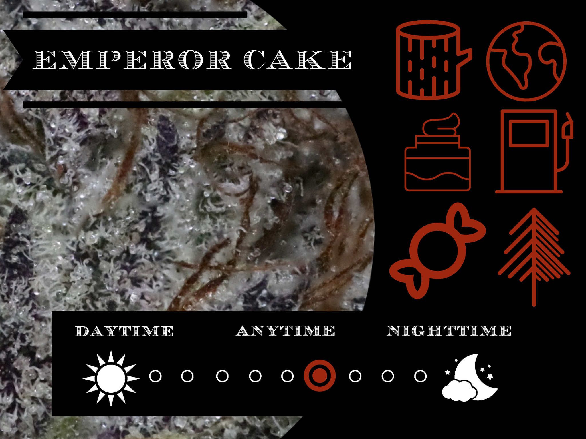 Emperor Cookies 26.4% view 2