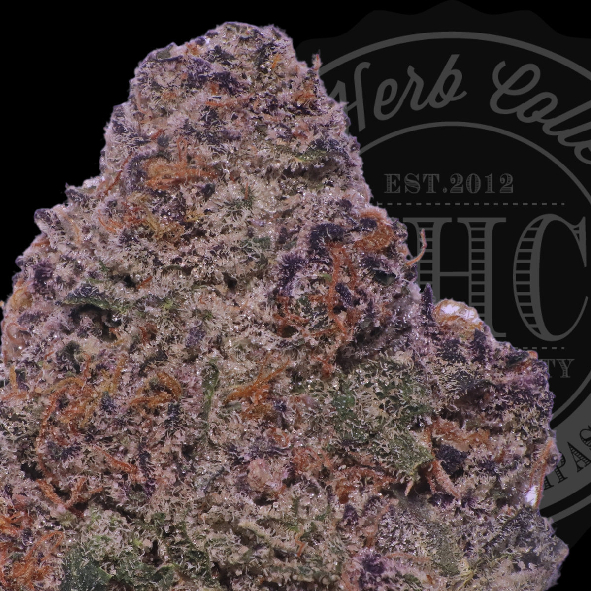 Mango Breath Squeeze 30.8%