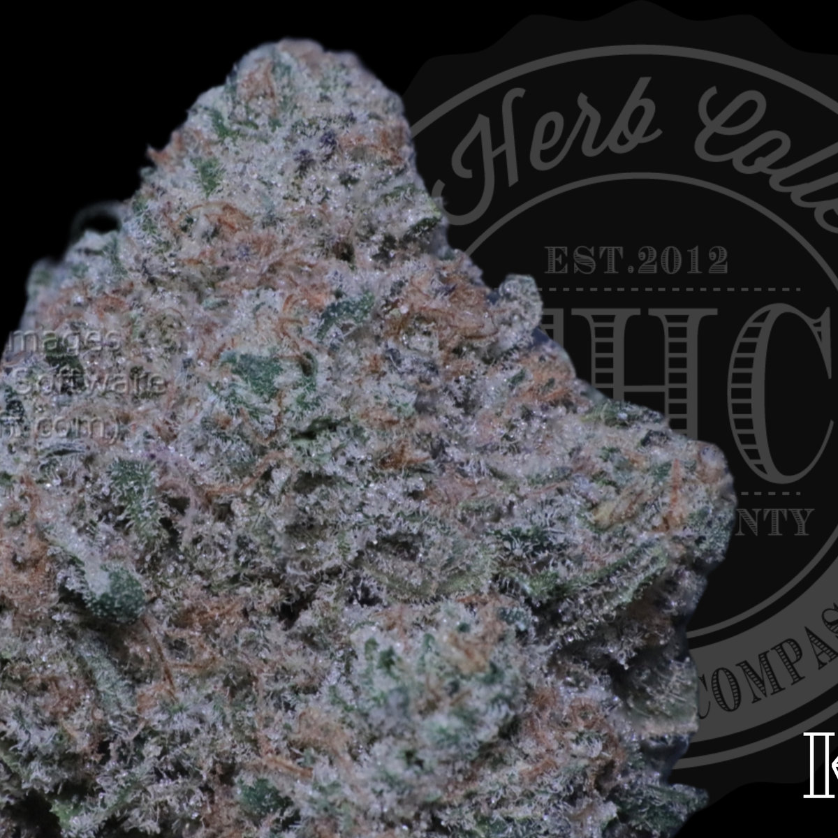 Alien Mac OG 34.4%