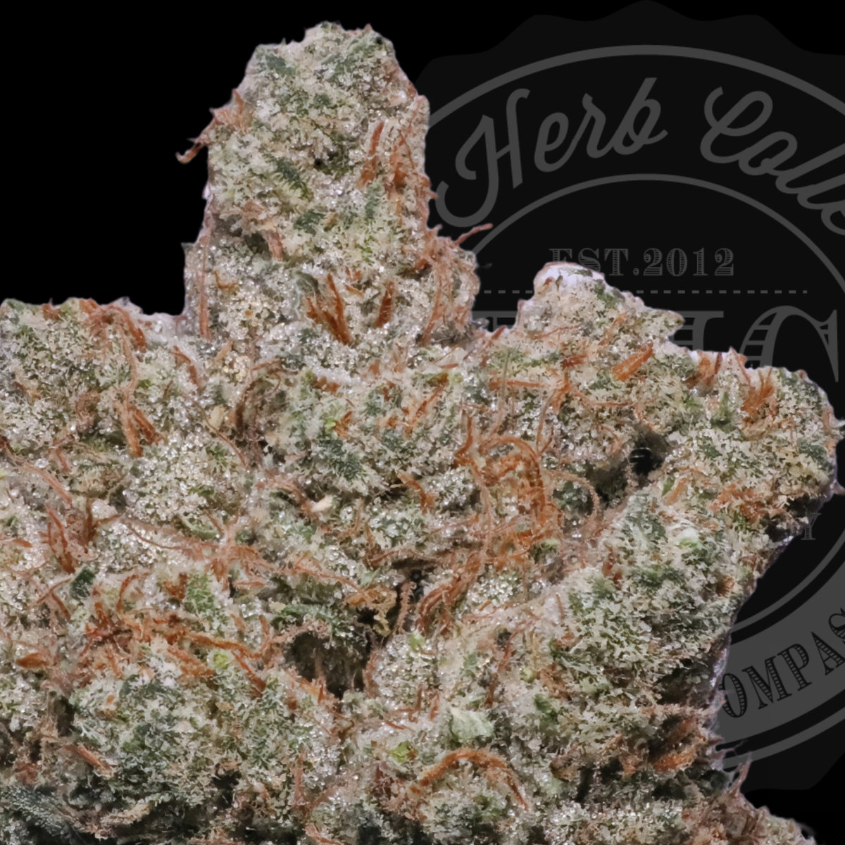 Better Than Yours OG 36.3%