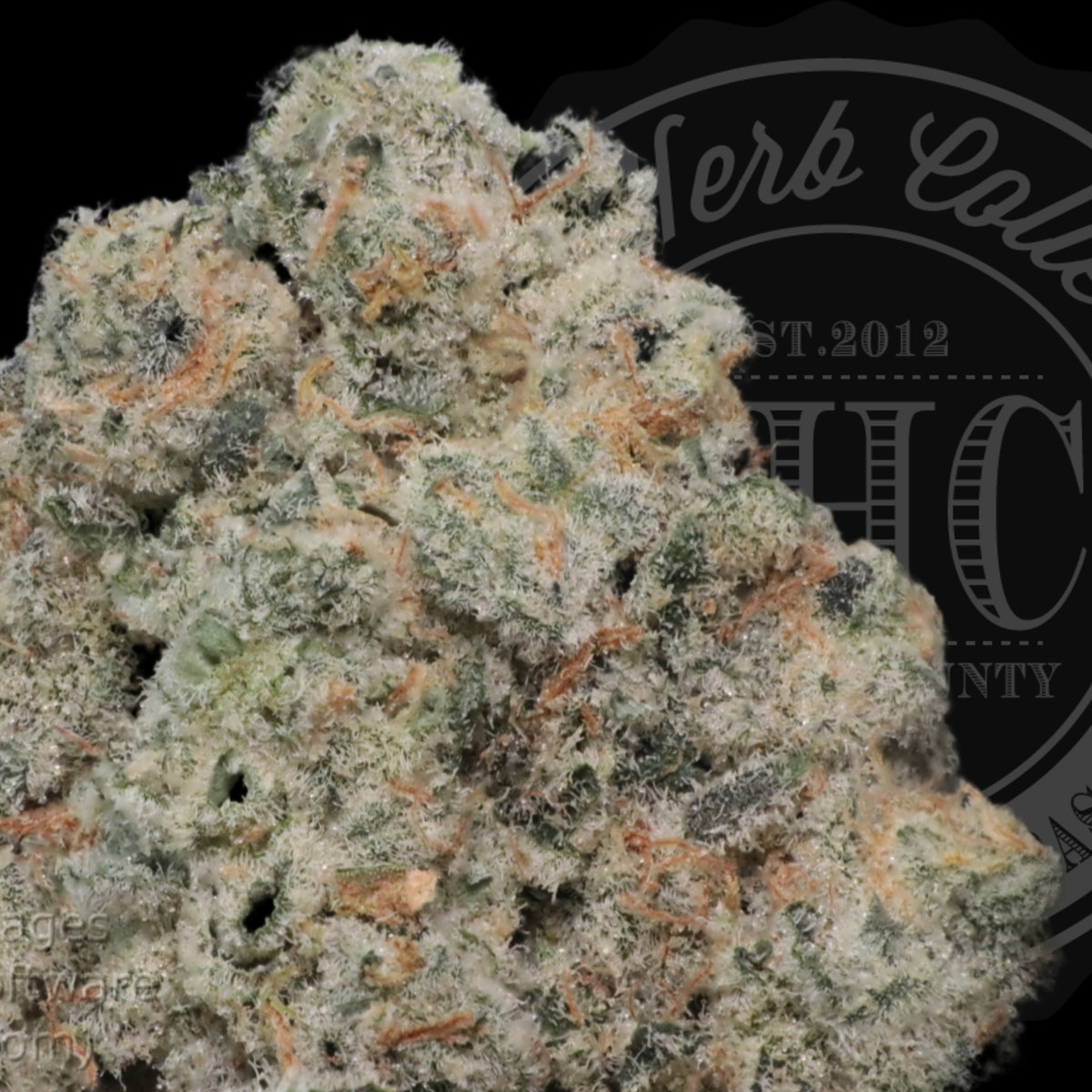 Mac N Mintz 34.3%