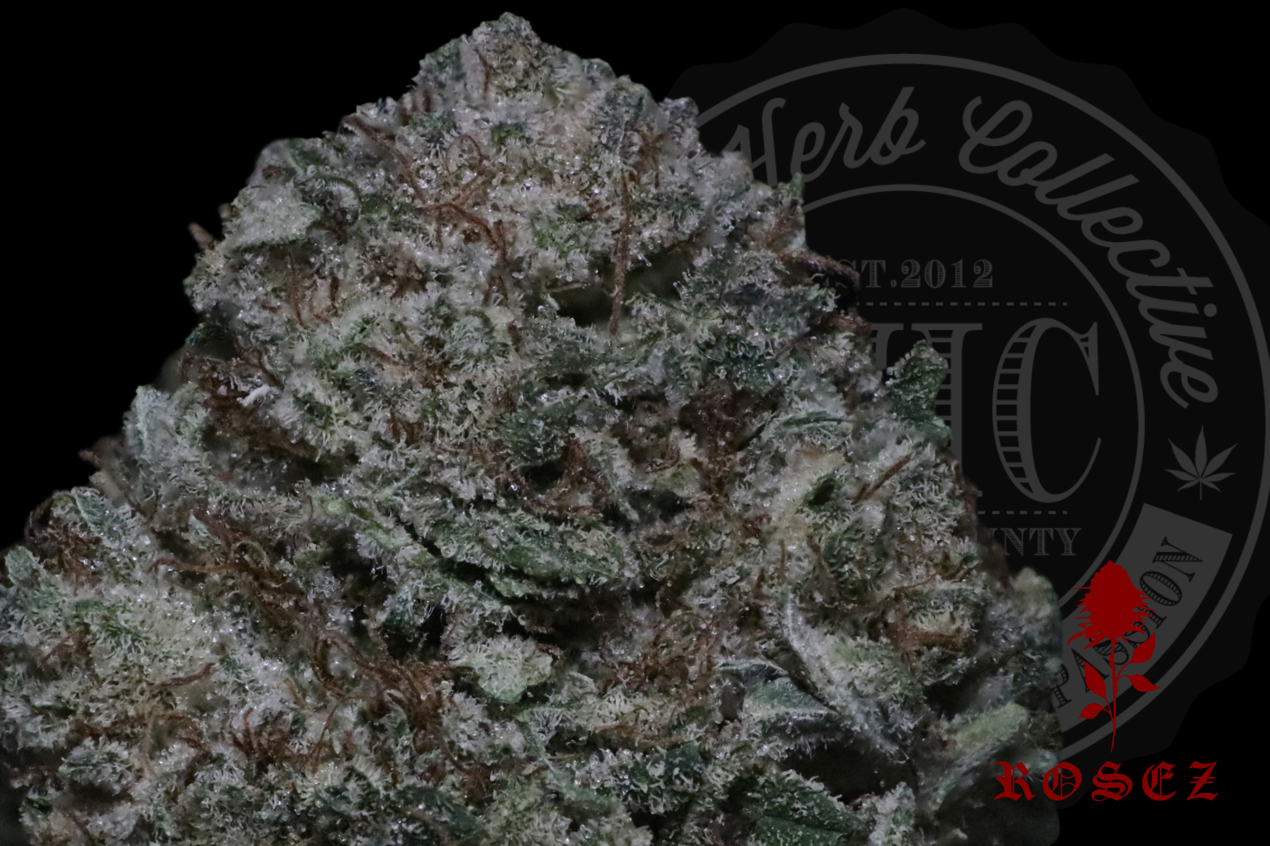 Petro Fuel 27.2%