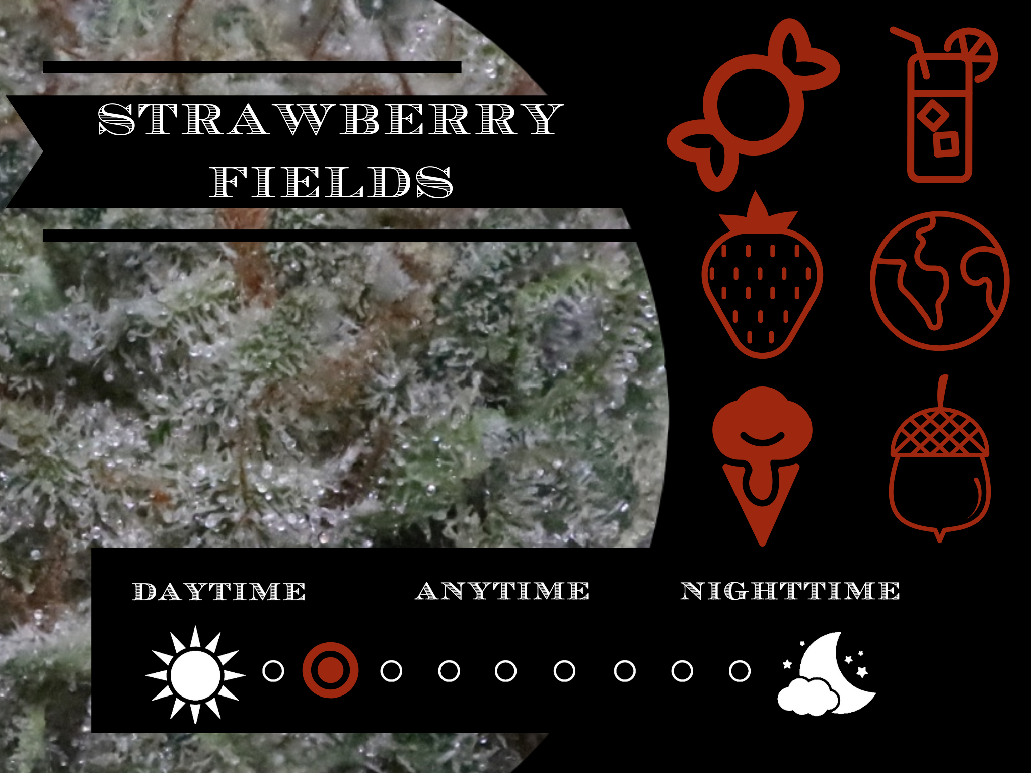 Strawberry Fields 26.2% view 2