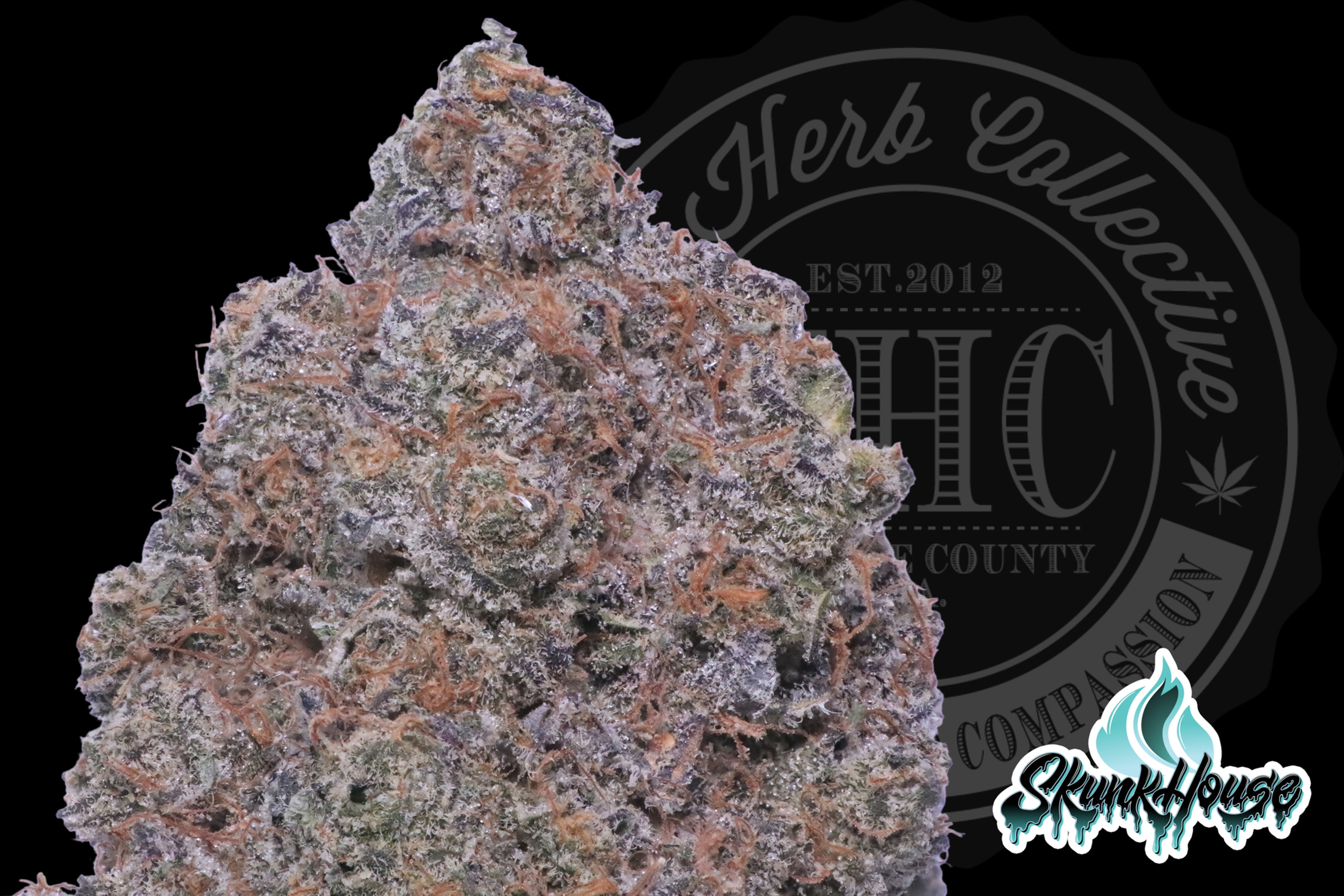 PINEAPPLE MOUSSE 34.2% | EXCLUSIVE CUT | SKUNK HOUSE