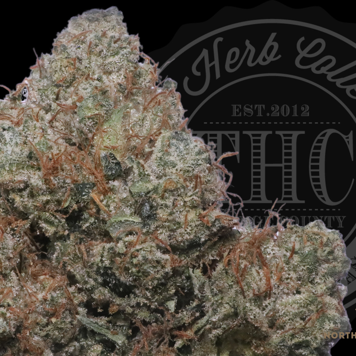Formula OG 34.2%