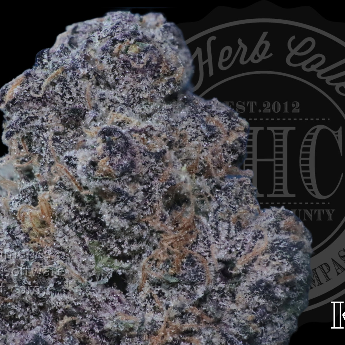 Kryptochronic 34.8%