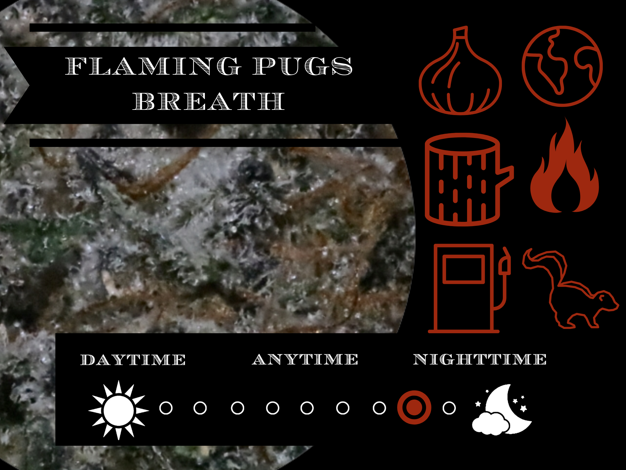 Flaming Pugs Breath 27.4% view 2