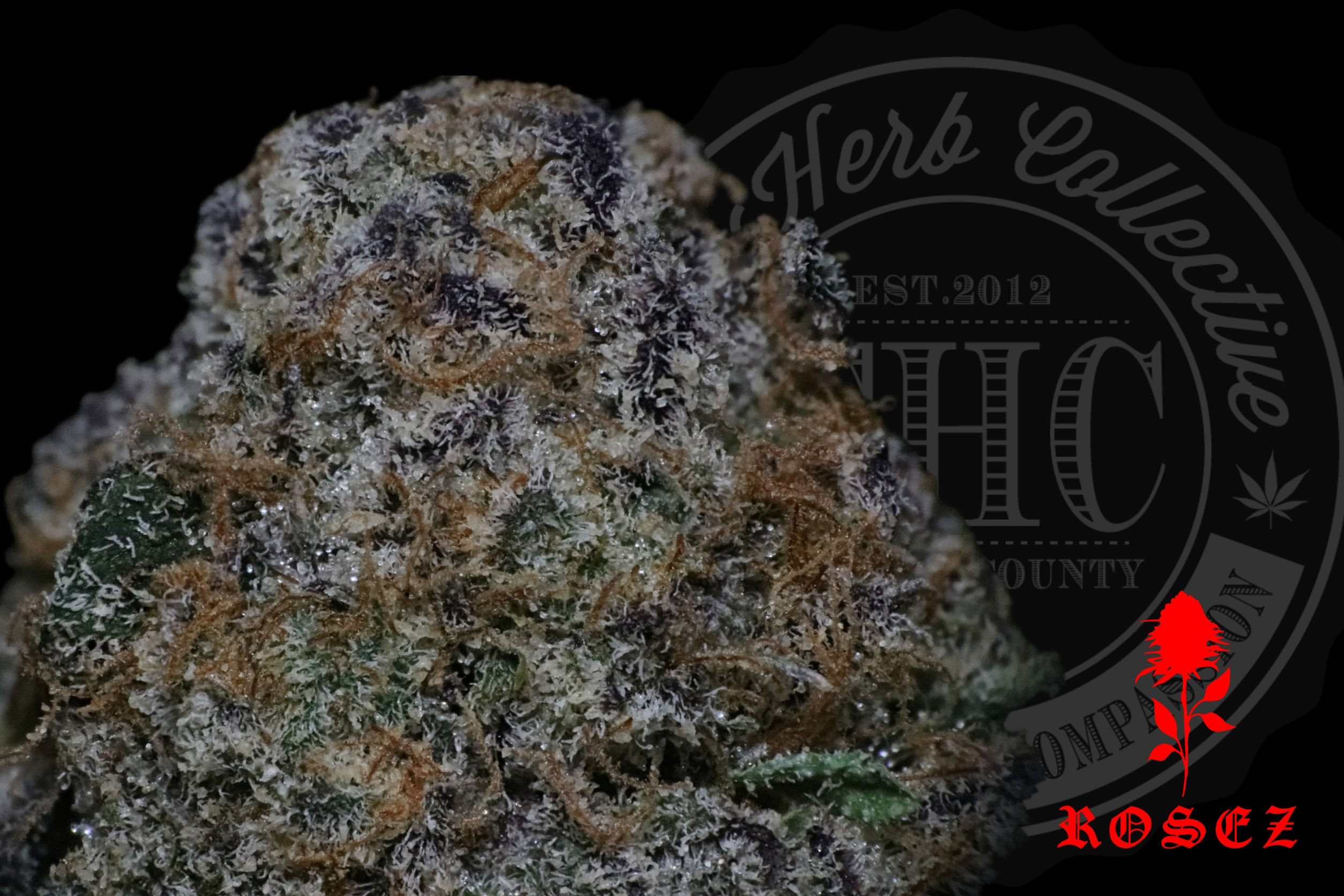 BLUEBERRY SPACE CAKE 26.2% | RESERVE | ROSEZ CO.