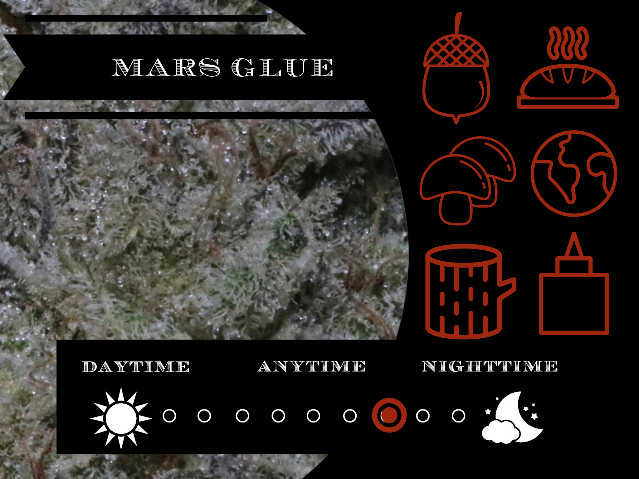 Mars Glue 27.8% view 2