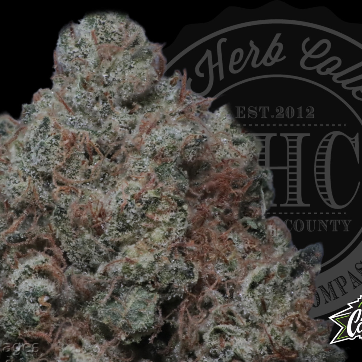 Kosher Kush OG 33.6%
