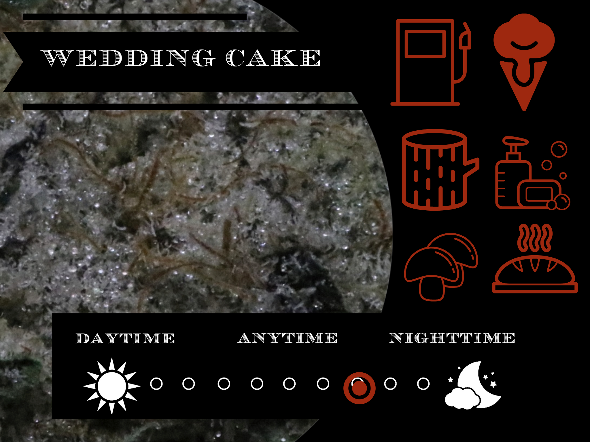 Wedding Cake 28.4% view 2