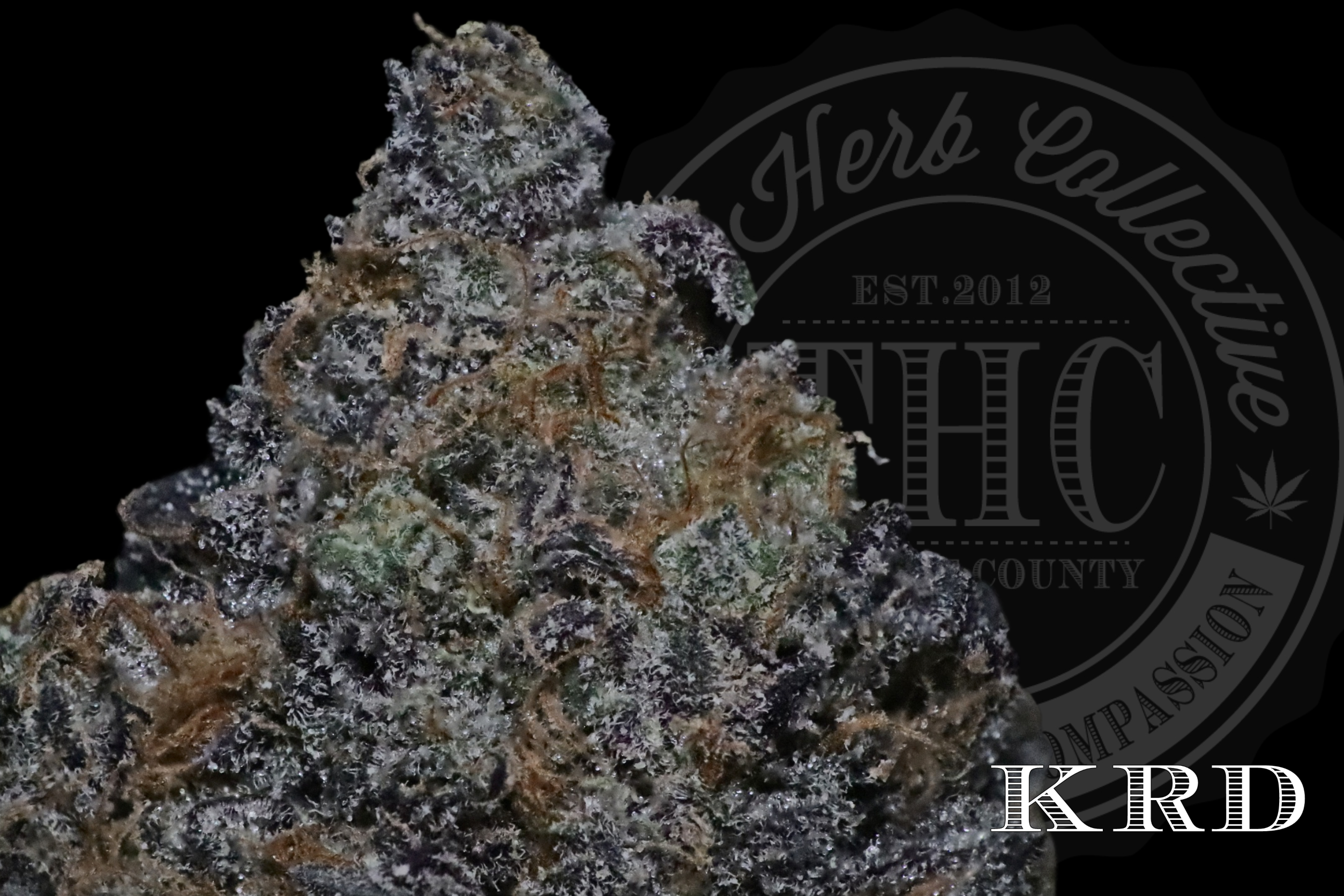 Apple Sherbert