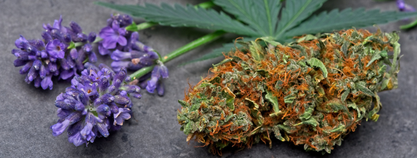 Linalool