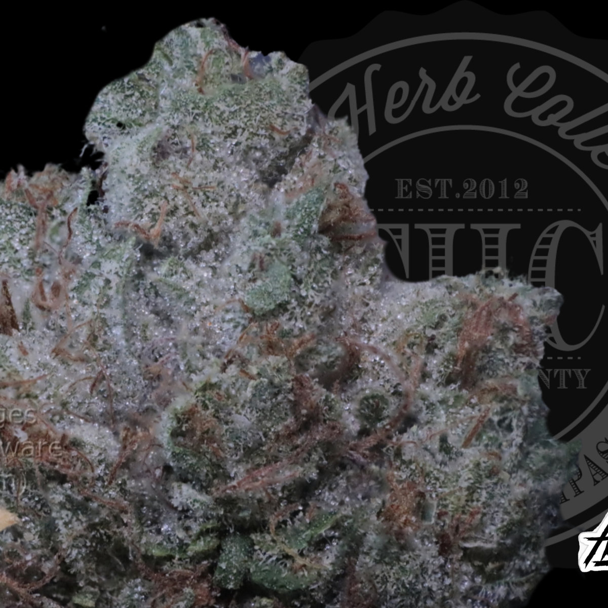 Lemon Fuel OG 34.2%