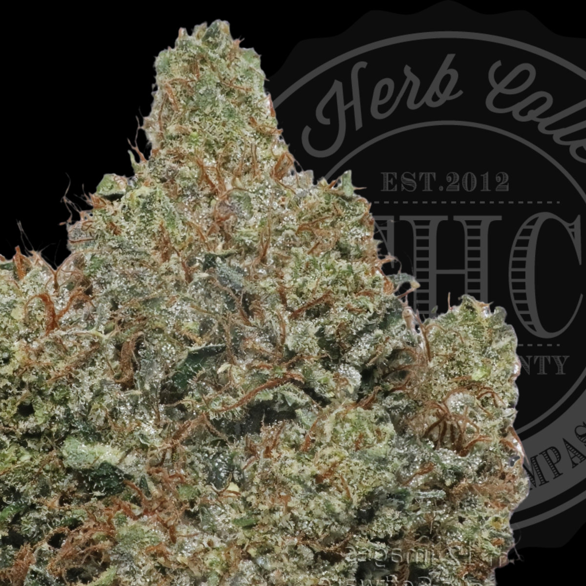 Versace OG 35.6%