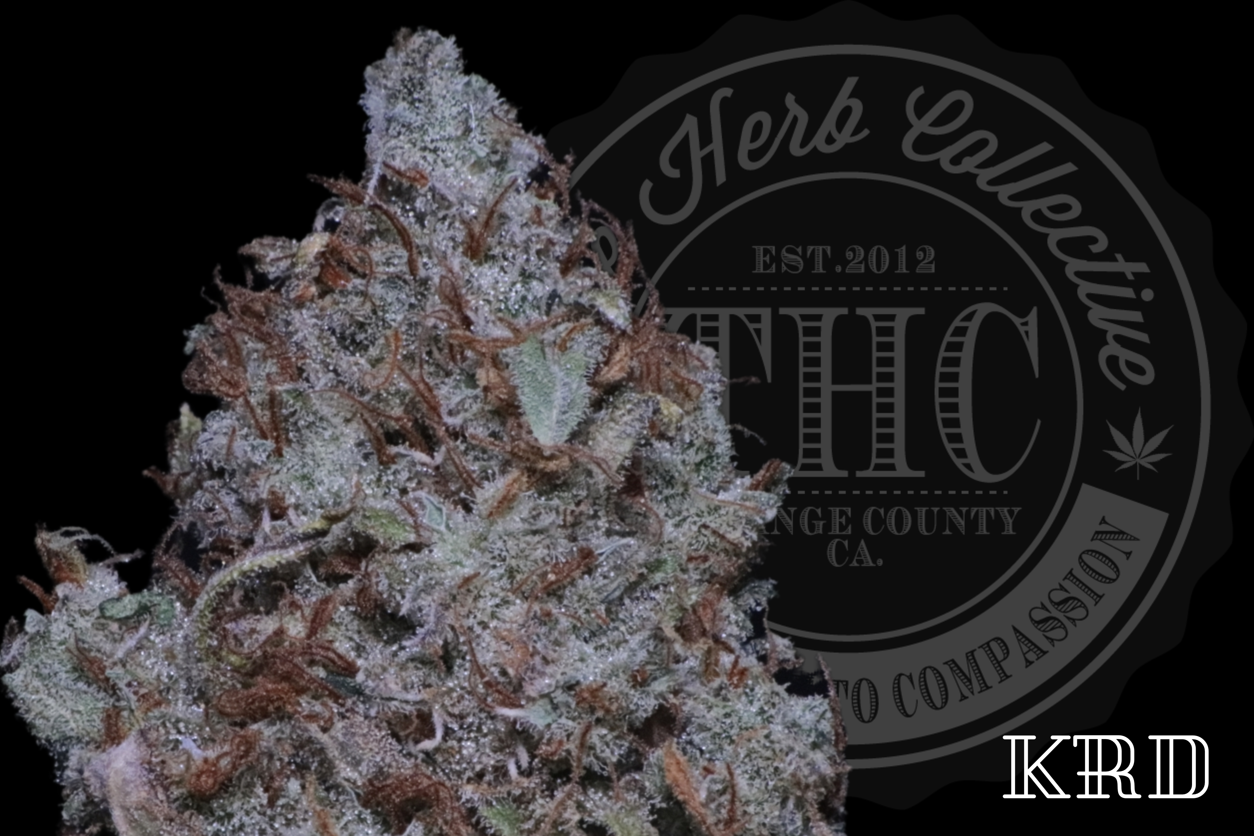 Ghost Train Haze 36.2%
