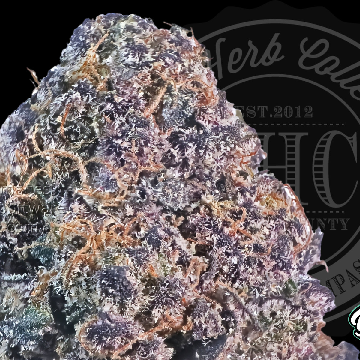41 Unicornz 30.2%