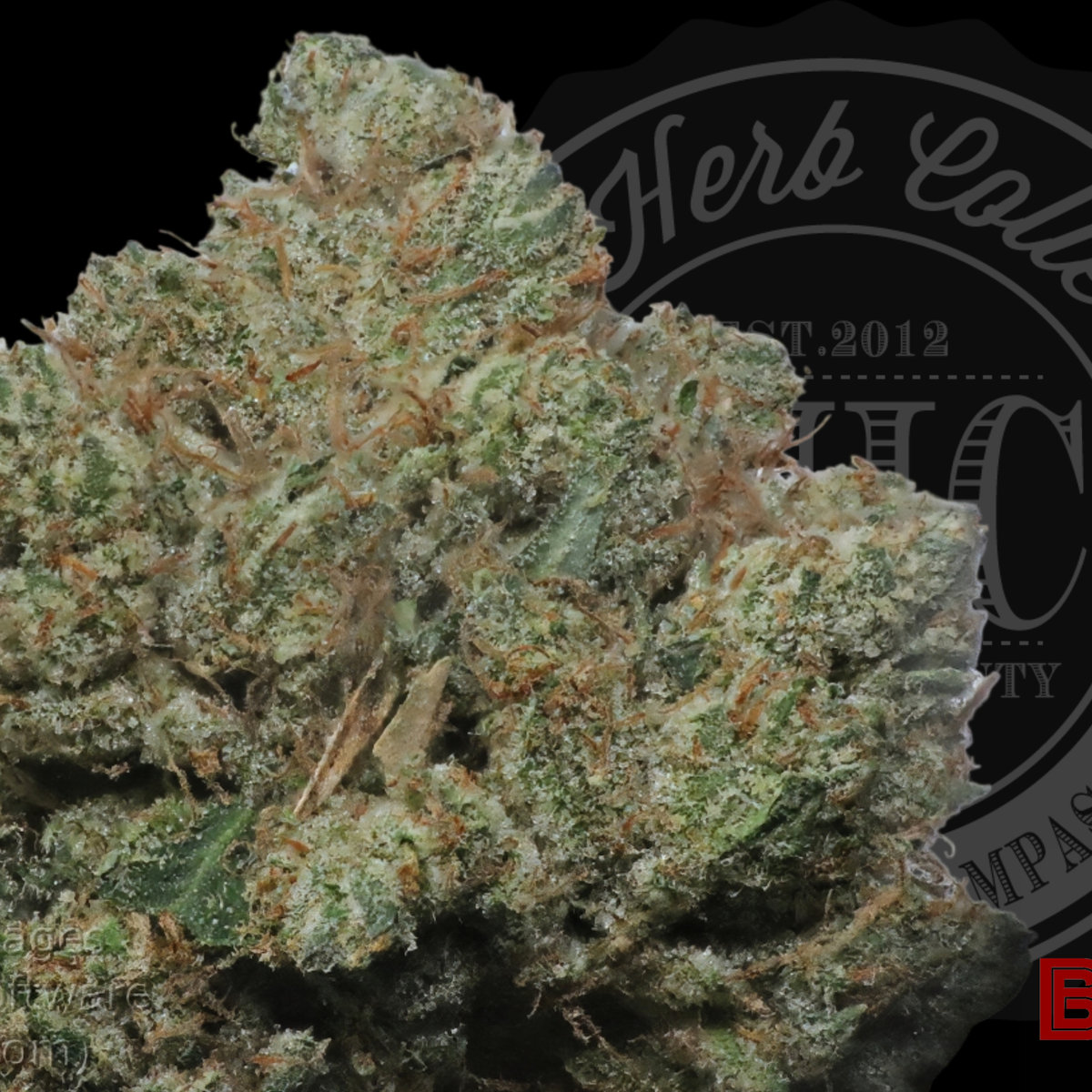 Unruly OG 33.8%