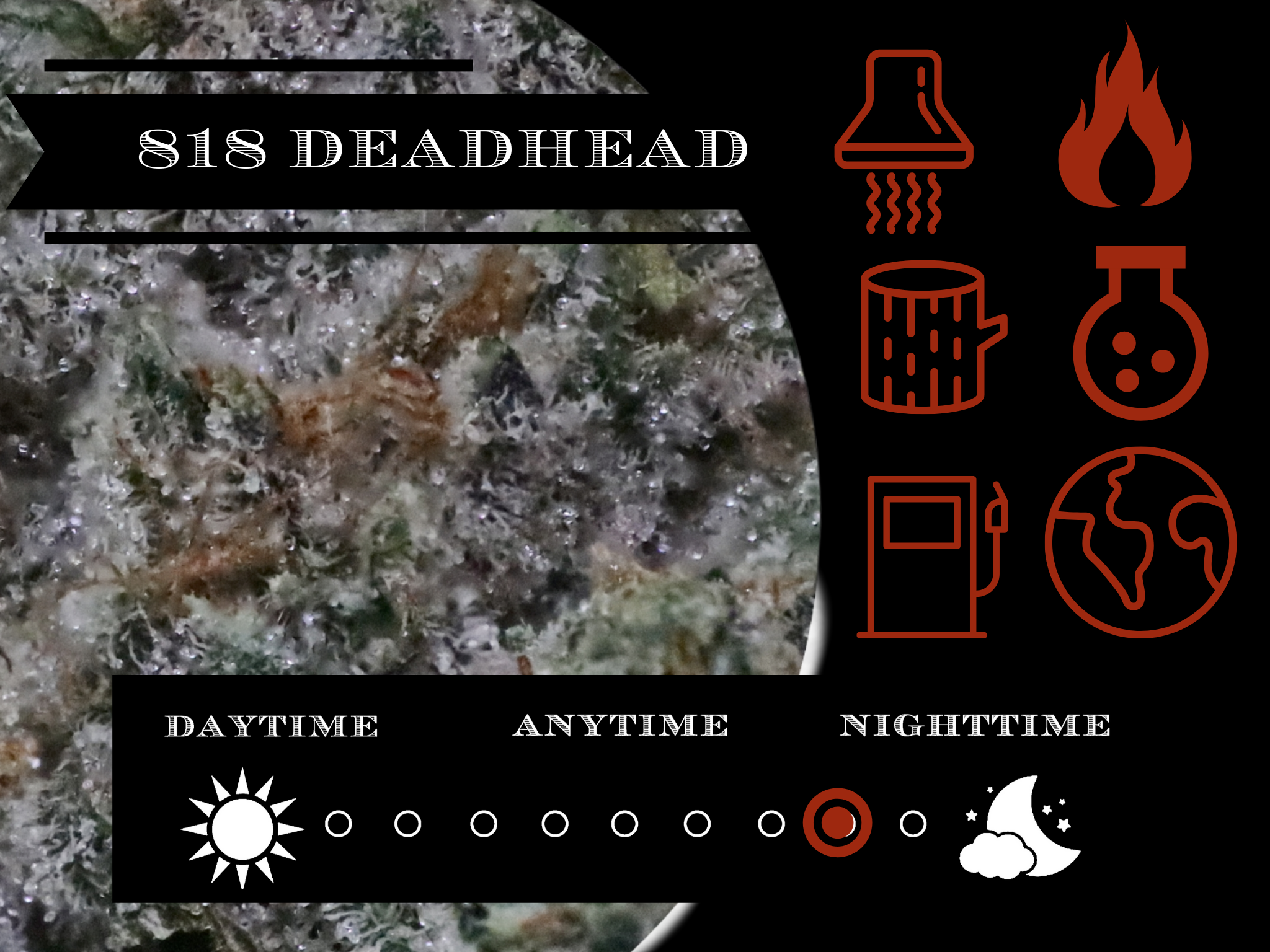 818 Deadhead 28.4% view 2