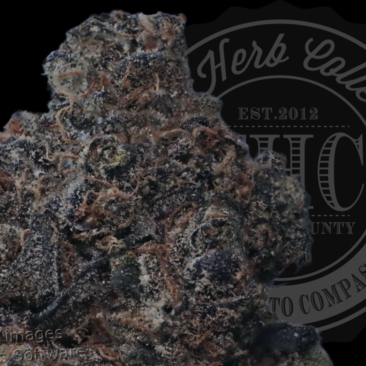 Zerbert 28.1%