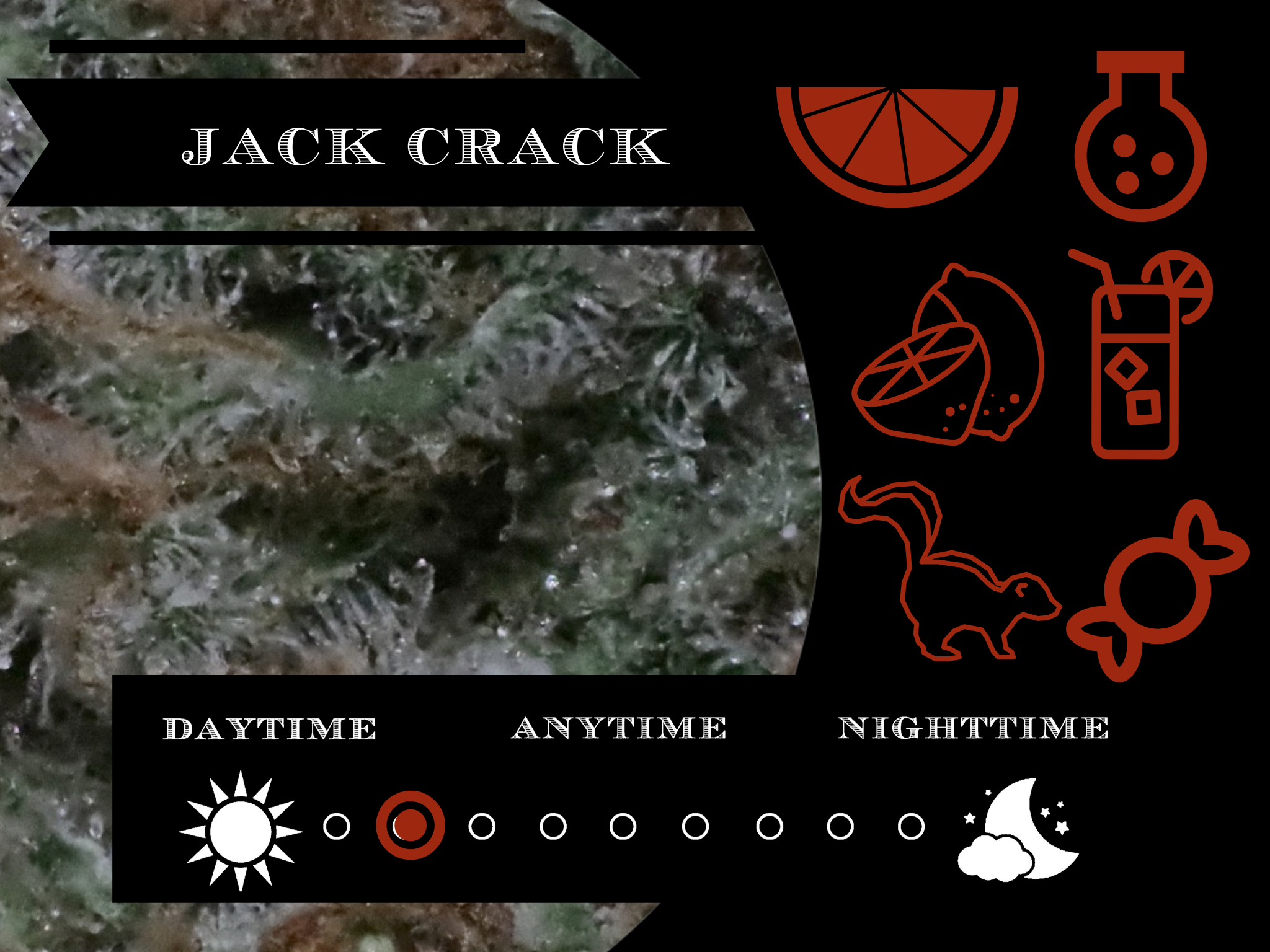 Jack Crack view 2