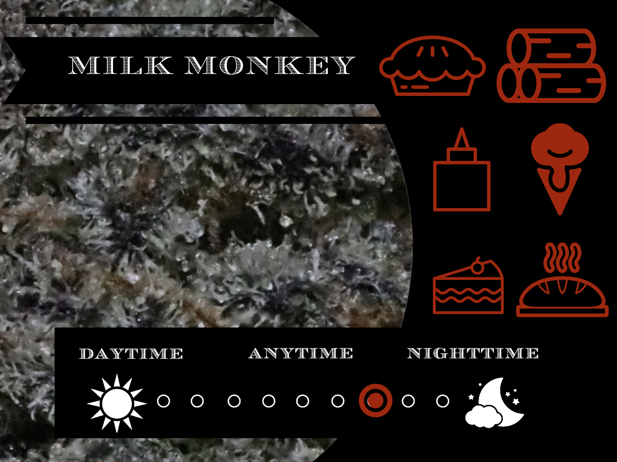 Milk Monkey 27.8% view 2