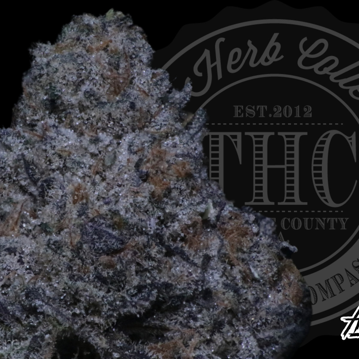 Sherbacio 32.8%