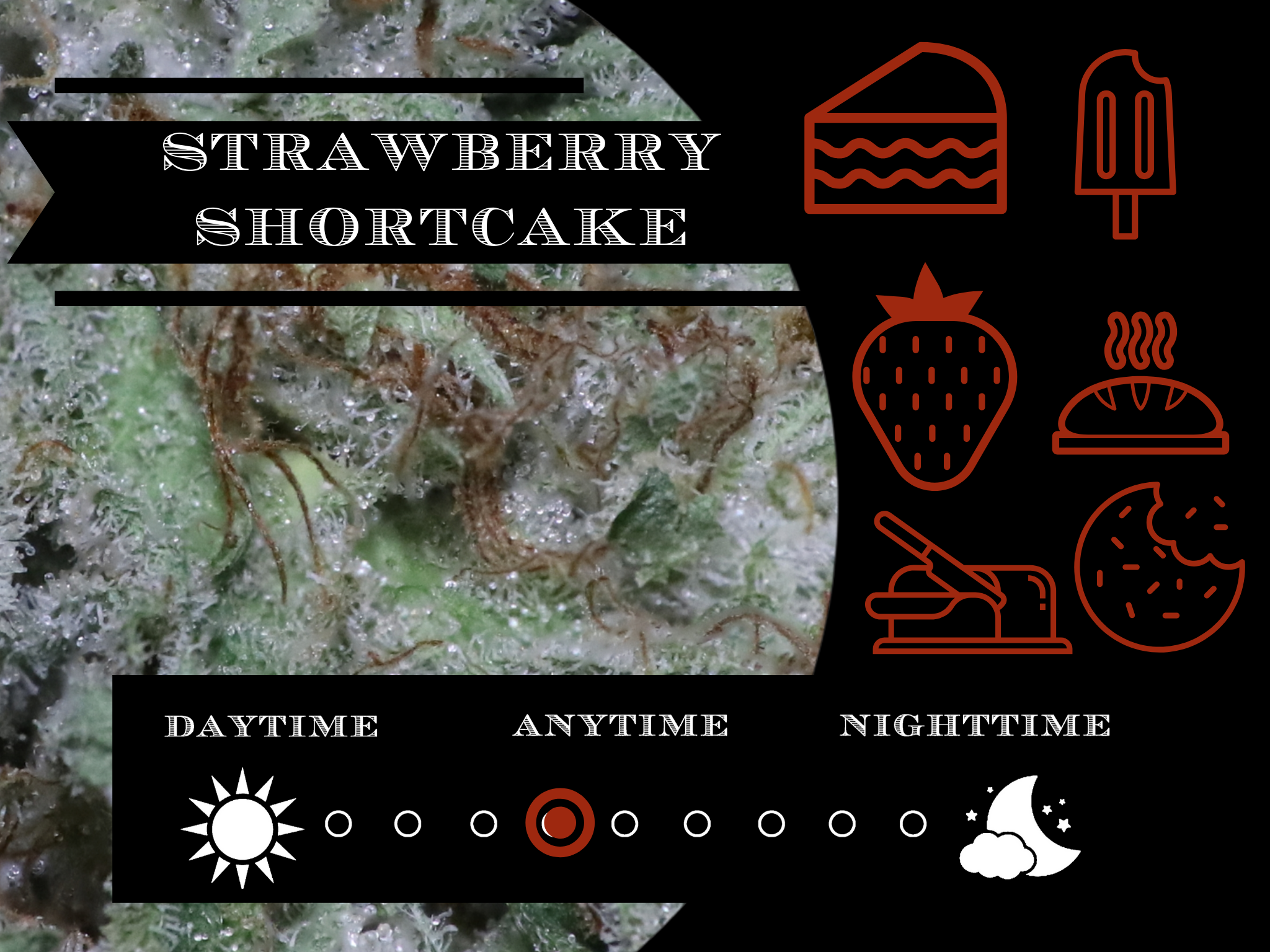 Strawberry Shortcake 27.6% view 2