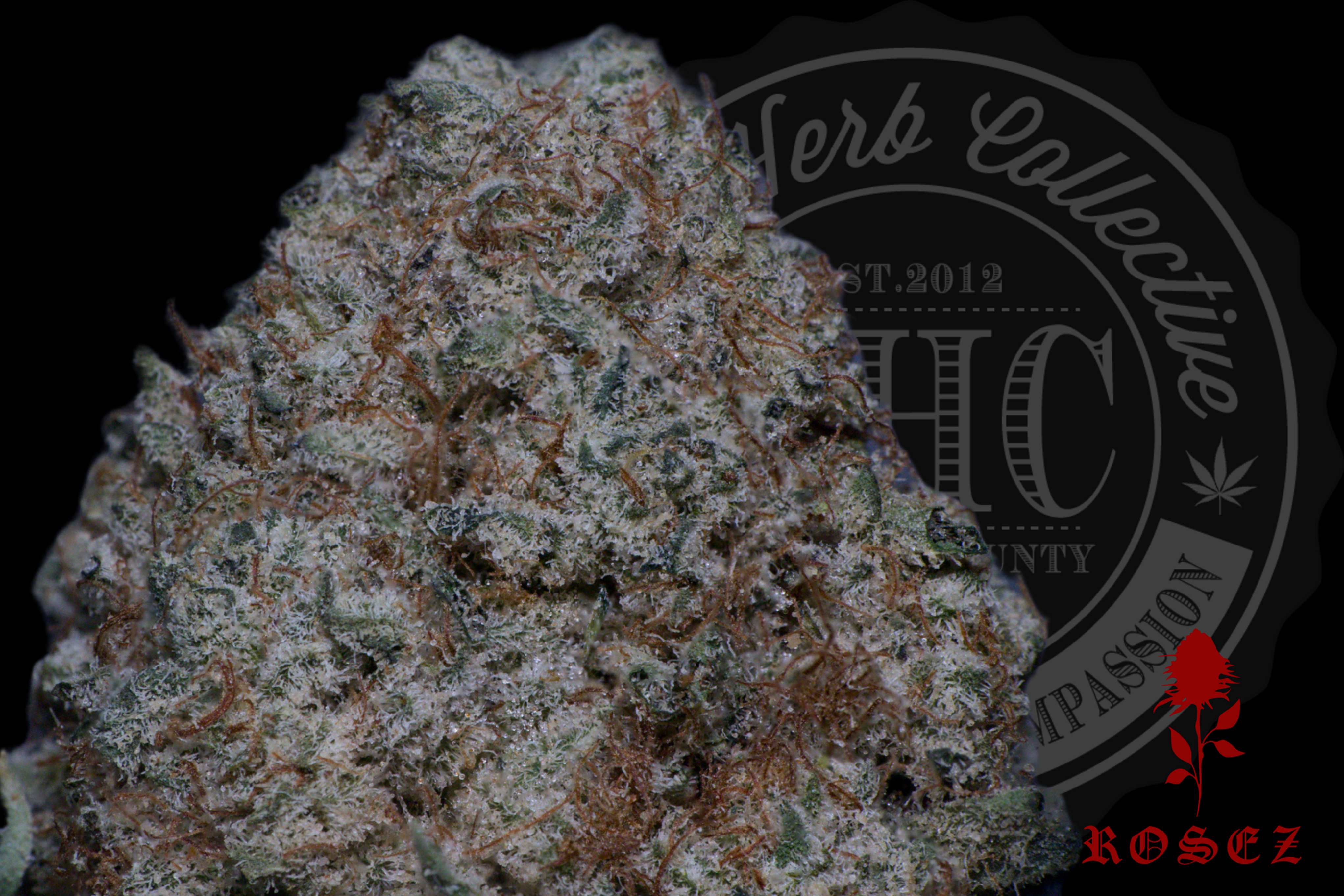 Maui Kush 29.6%