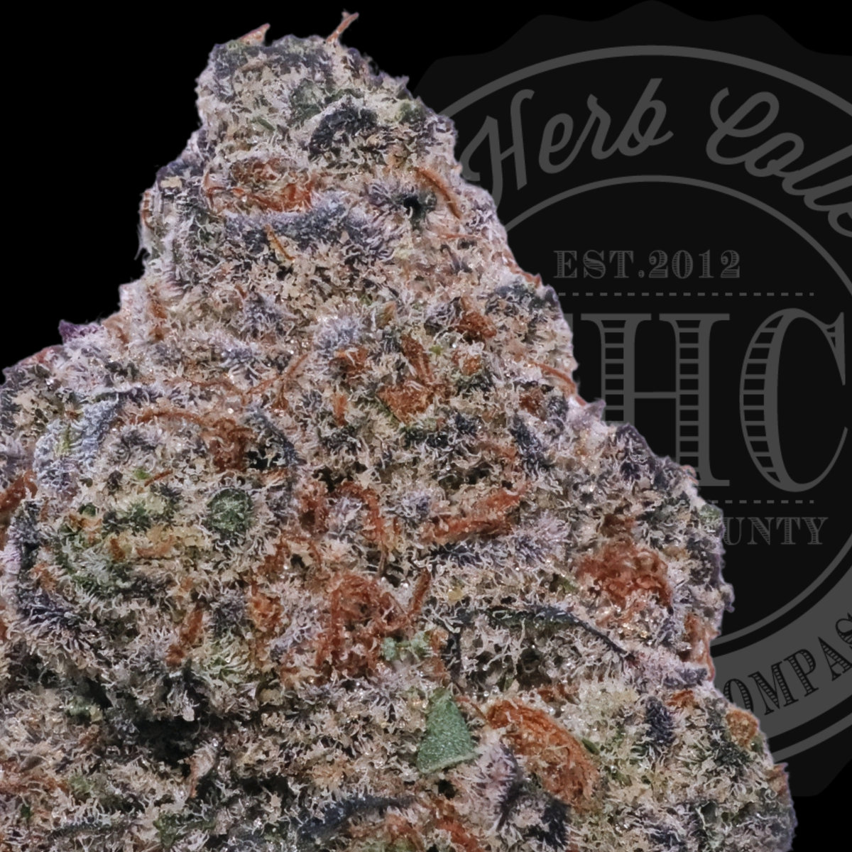 Fritter Glitter 37.8%