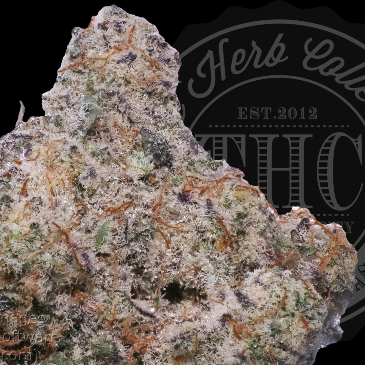 Miracle Alien Cookies 2.0 36.8%