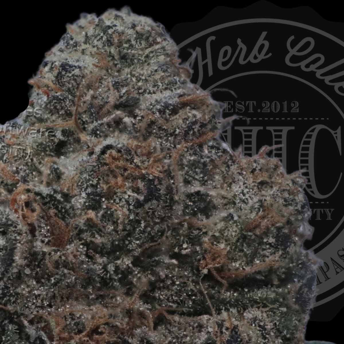 Red Pineapple 34.6%