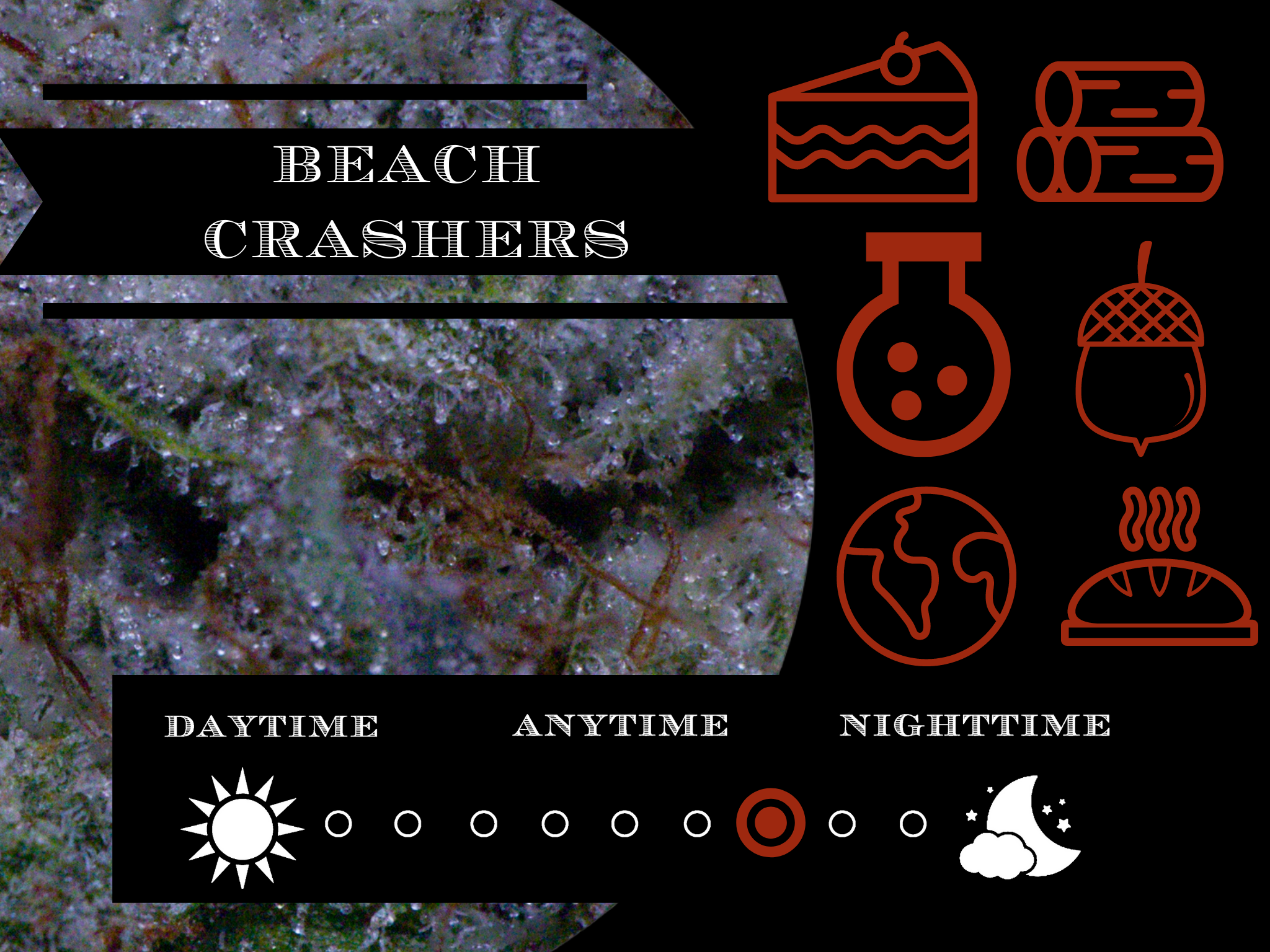 Beach Crashers 27.2% view 2