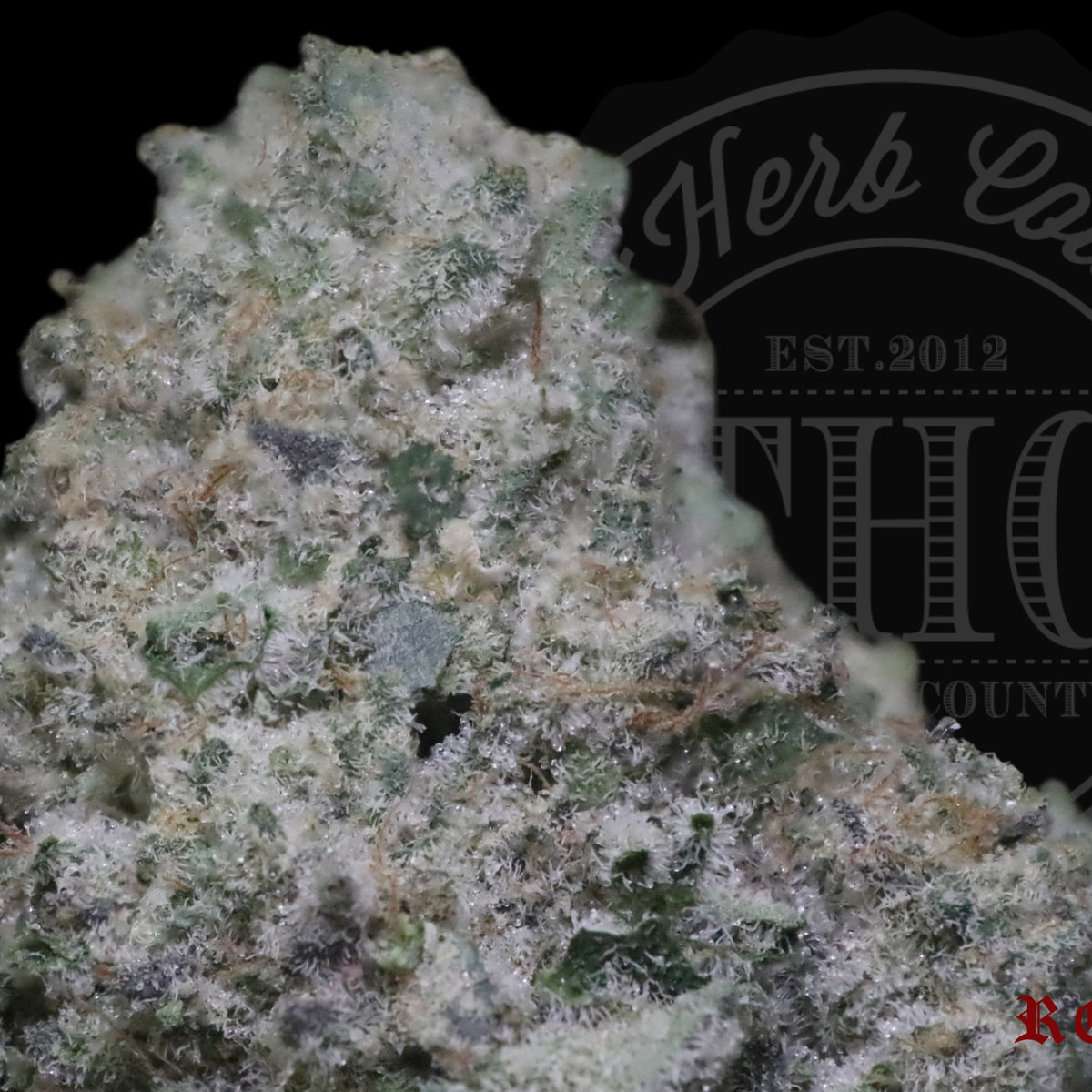 Kush Mints 28.2%