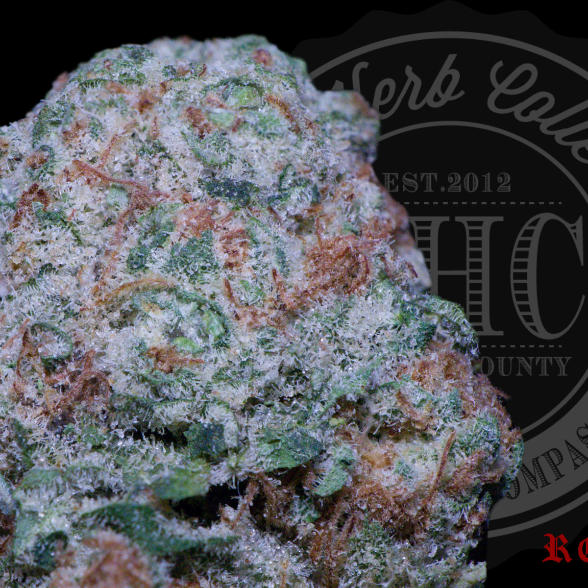 Papaya Haze