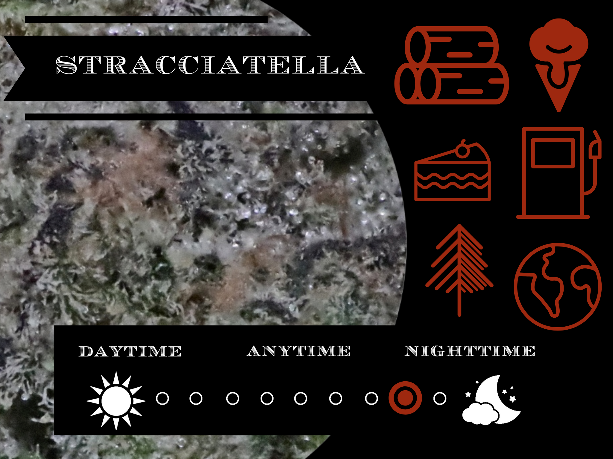 Scracciatella 27.8% view 2
