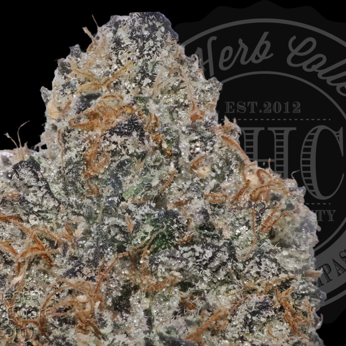 Puree 36.8%
