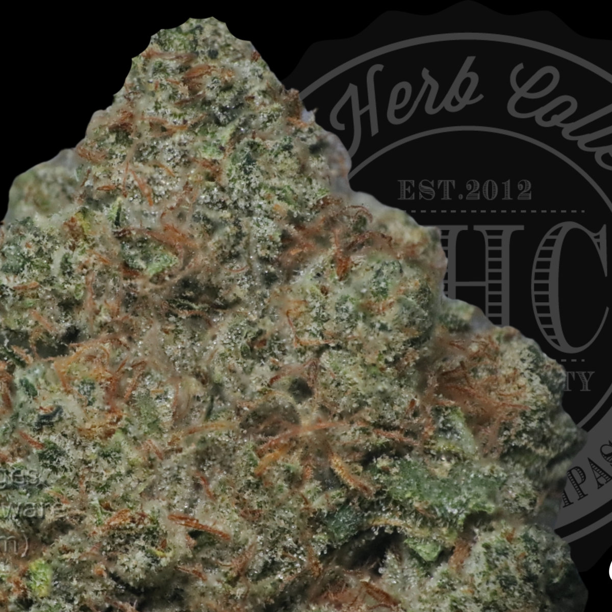 Charlie Sheen OG 34.2%