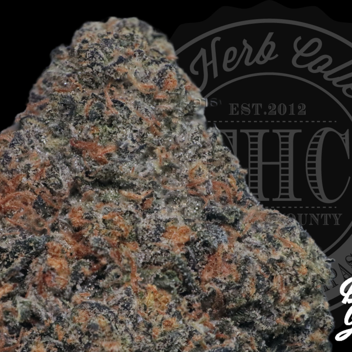 Jet Fuel Gelato 32.6%