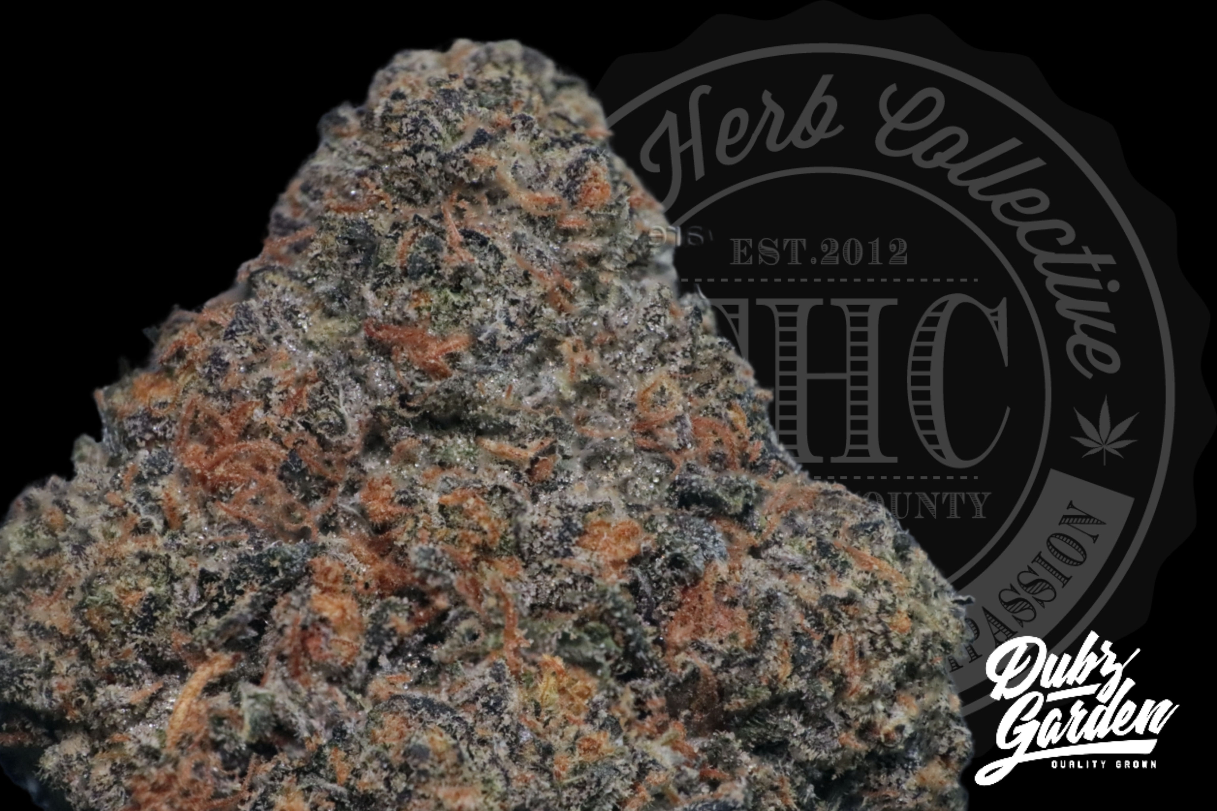 JET FUEL GELATO 32.6% | TOP SHELF INDOOR | DUBZ GARDEN