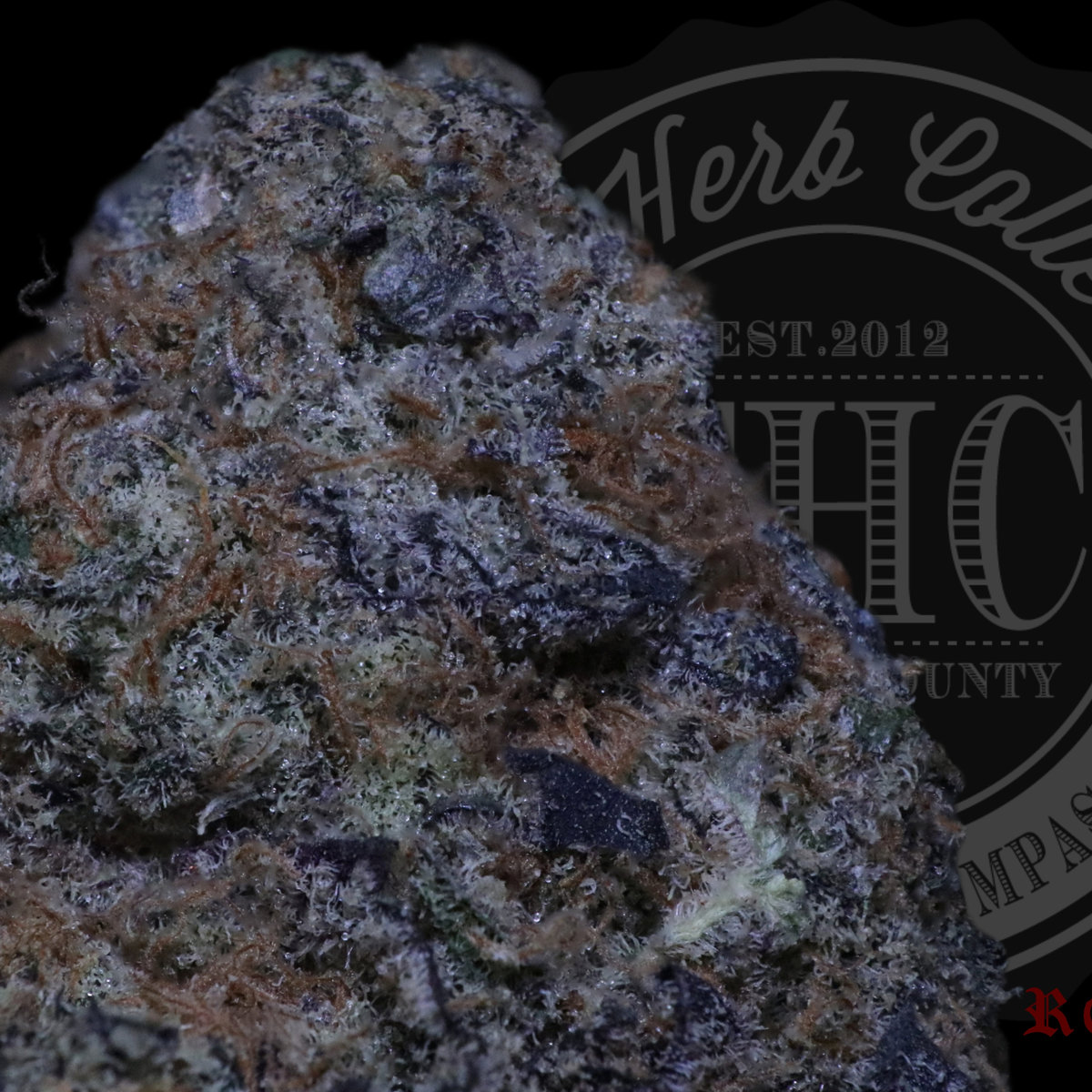 Bubba's Breath 27.2%
