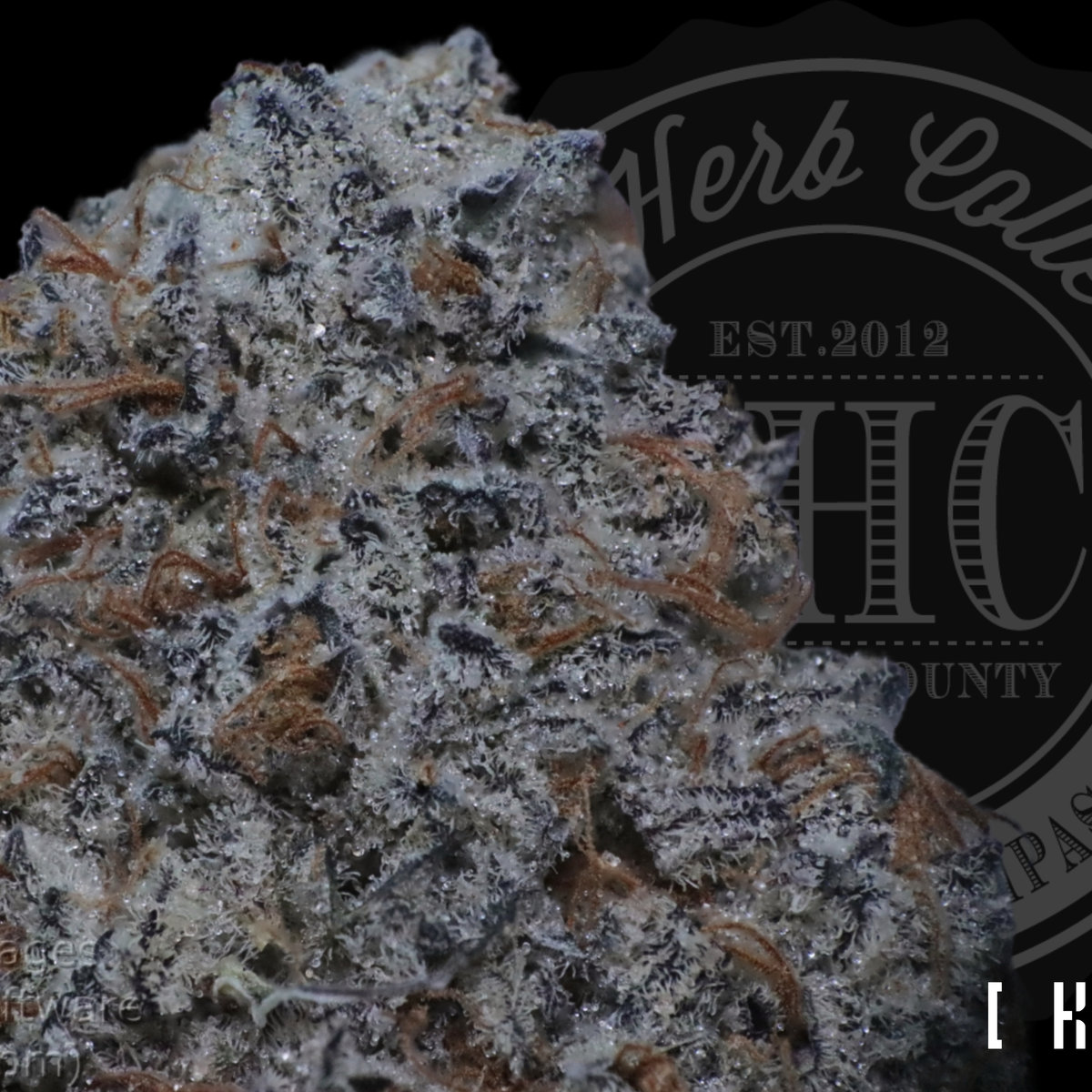 Double Stuffed Oreoz 37.2%