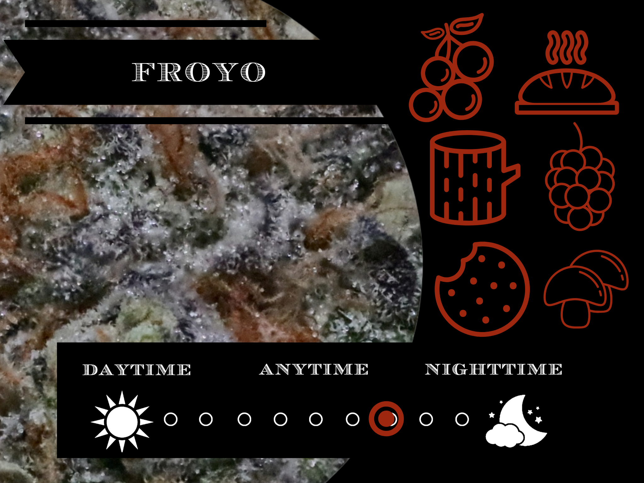 Froyo 26.6% view 2