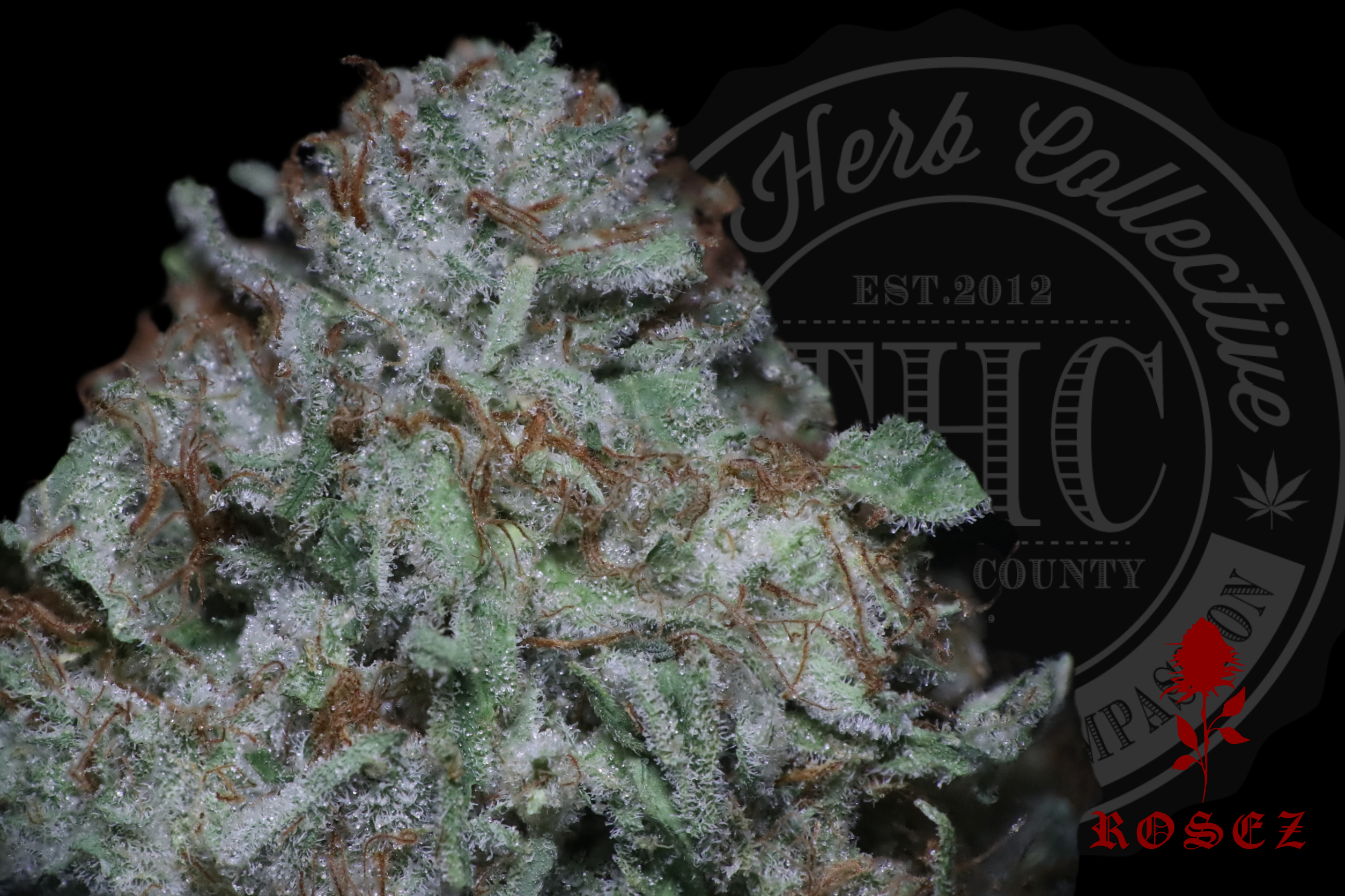 Hardcore OG 27.2%