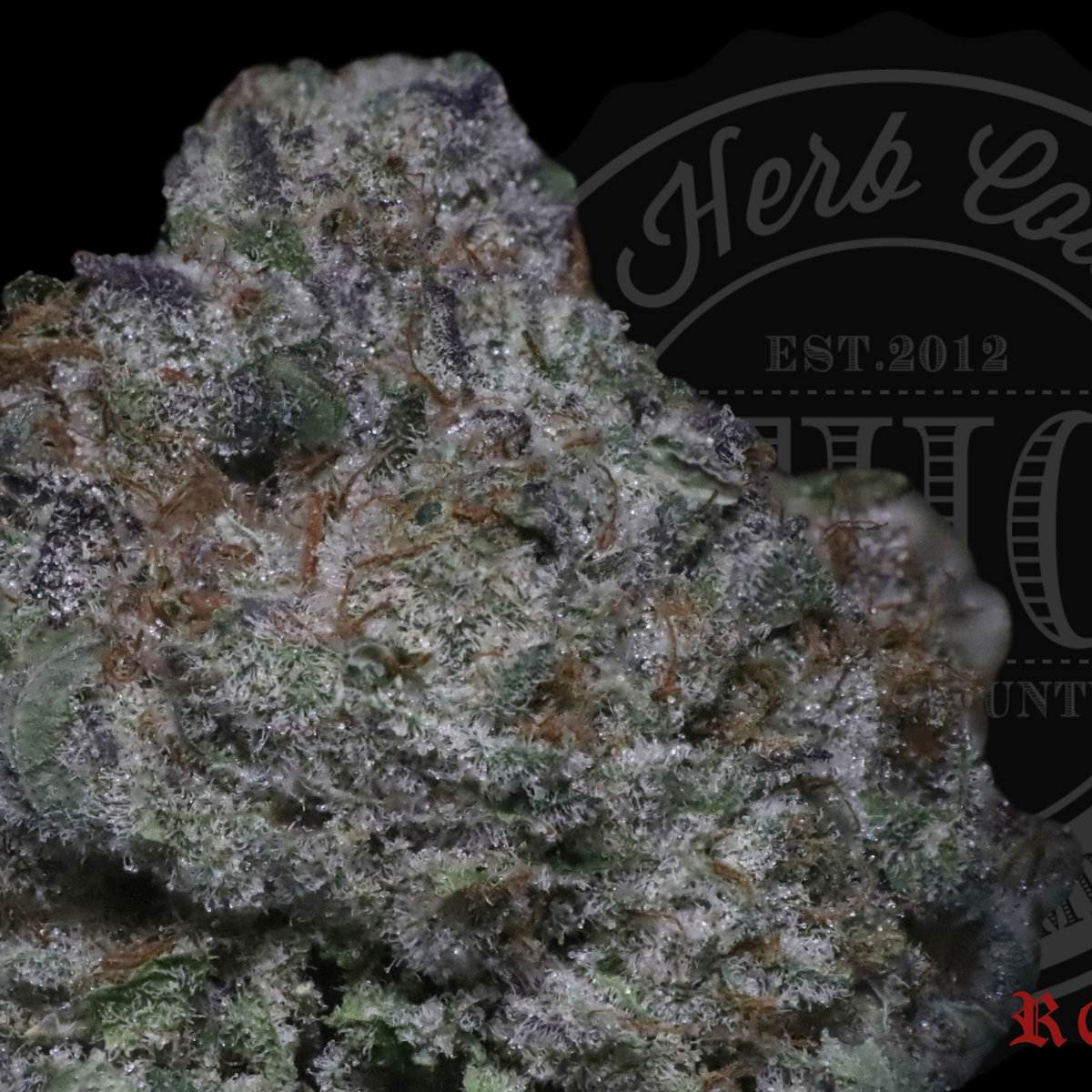 Grease Monkey #4 29.8%