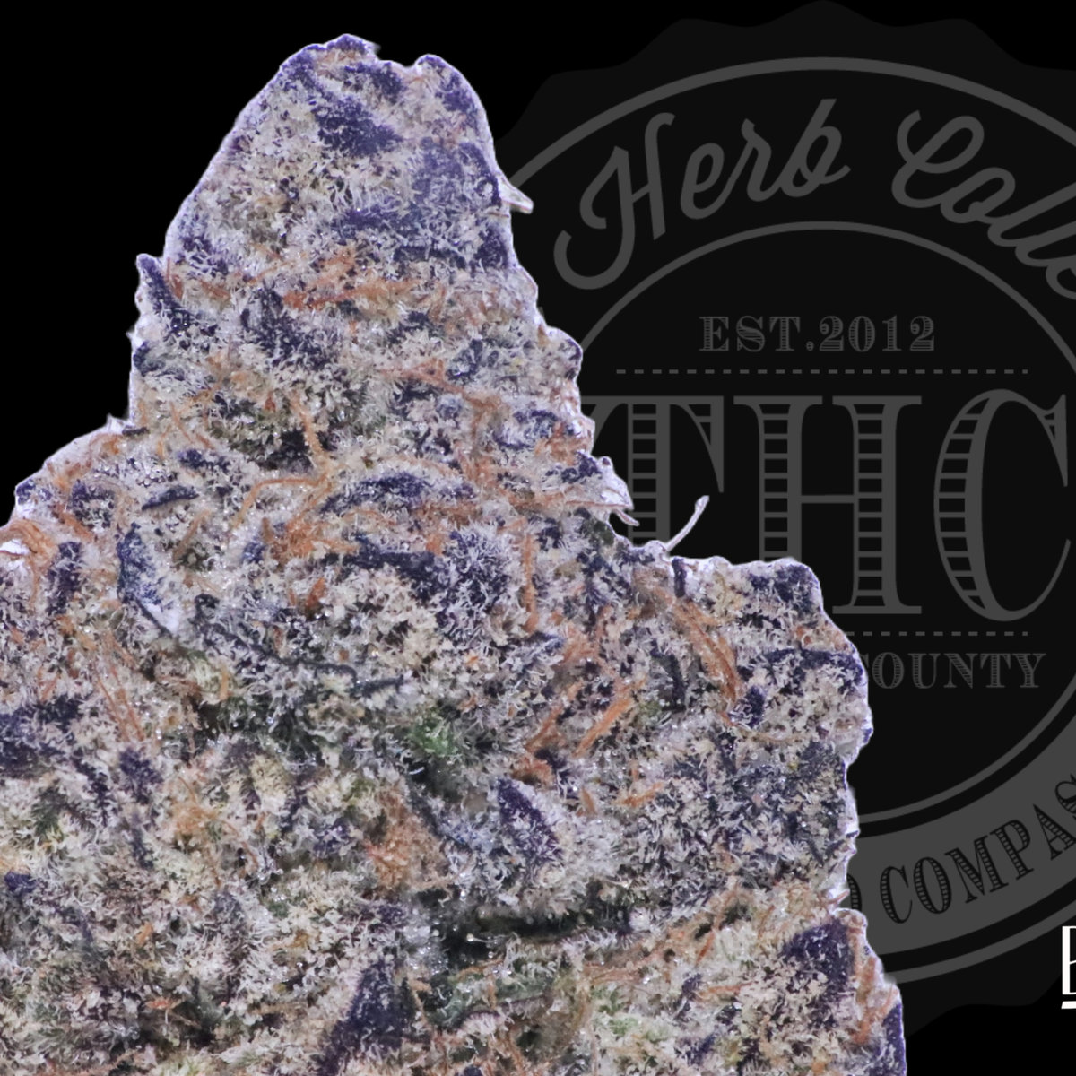 Rainbow M.A.C 33.6%
